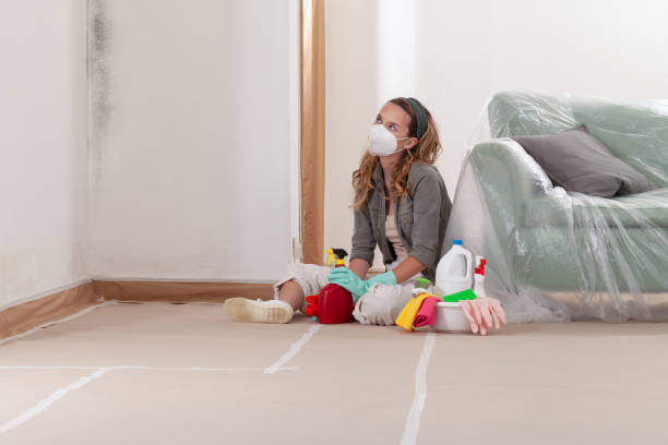 Reliable Basement Mold Removal contractor in Williamstown, NJ by Cheap Mold Removal